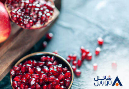 تخفیف ویژه یلدایی شاتل موبایل برای بستههای اینترنت پرحجم تخفیف ویژه یلدایی شاتل موبایل برای بستههای اینترنت پرحجم