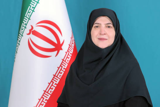 توضیح سخنگوی دولت درباره تصمیم‌گیری برای قیمت بنزین