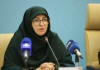 انصاری: فعالیتهای محیط زیستی کشور با وجود جنگ متوقف نشد