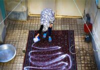 رسمی که فقط در ۱۵ درصد ایرانی‌ها ادامه‌دار است؛ خانه‌تکانی برای خزان