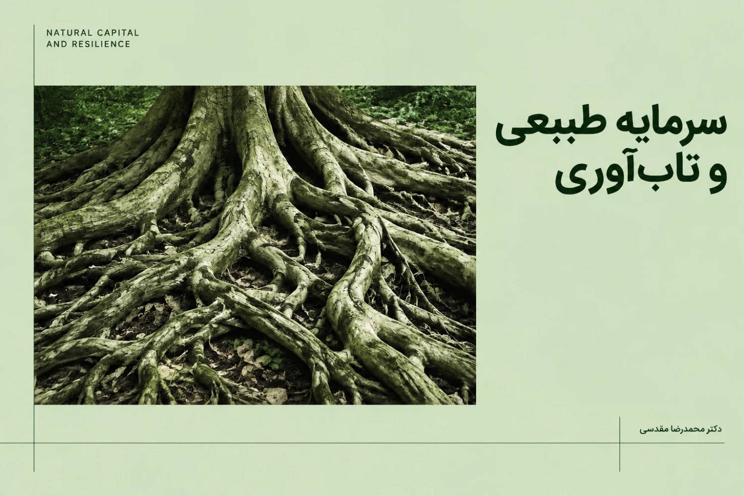 سرمایه طبیعی و تاب آوری