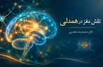 نقش مغز در همدلی، تاب‌آوری و روابط اجتماعی