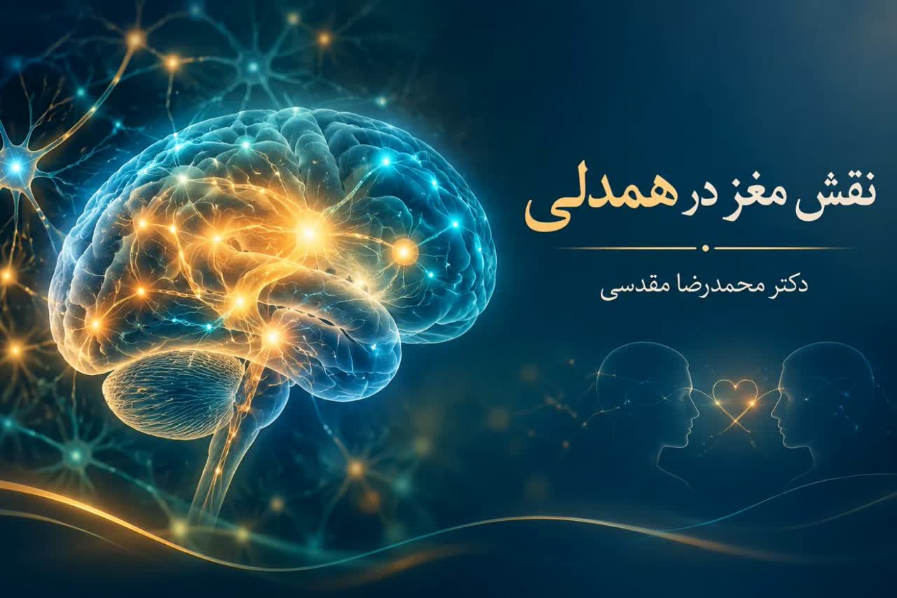 نقش مغز در همدلی، تاب‌آوری و روابط اجتماعی